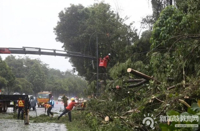 2021年第一周新加坡全岛下倾盆大雨，这究竟是好还是坏？