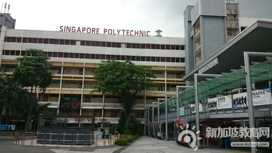 留学新加坡的理工学院，就业有保障