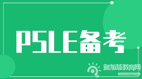 PSLE华文考试这些内容如何提分？