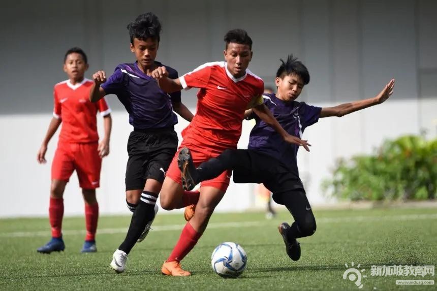 10所学校加入足球教育计划！新加坡“狮展雄心”大力培养足球健儿