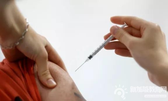新加坡卫生部：未接种加强针疫苗将不算已完成接种！孩童将优先接种