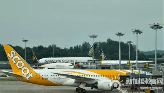 中国民航局宣布：中新酷航航线熔断！新加坡调低樟宜机场落地检测费用