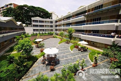 新加坡留学,新加坡教育网