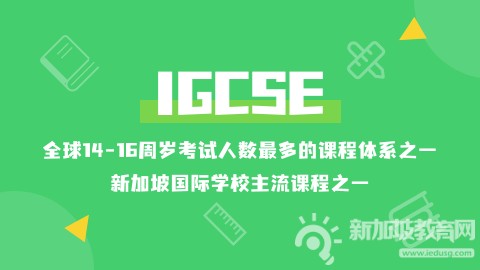 逃离高考汪洋，IGCSE助你解锁国际化升学之门