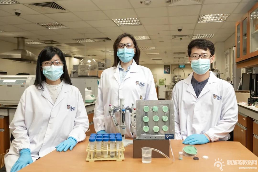 新加坡国立大学化学专业介绍与课程内容