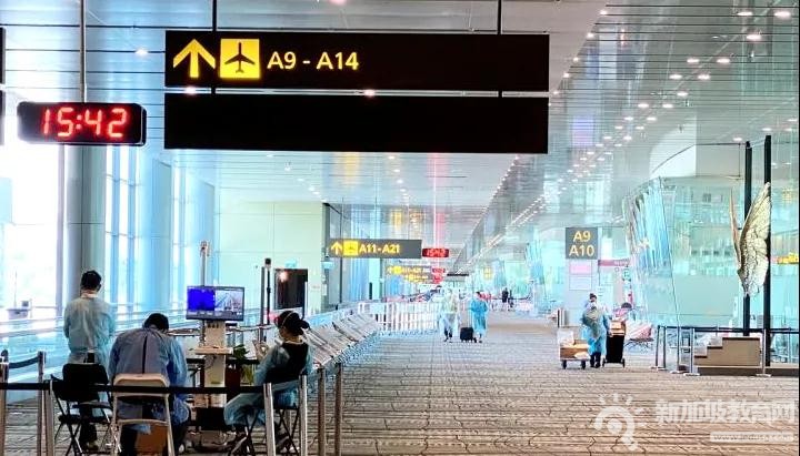 新加坡已签发486张航空通行证给港澳短期访客，入境时检测结果为阴性即可自由活动！