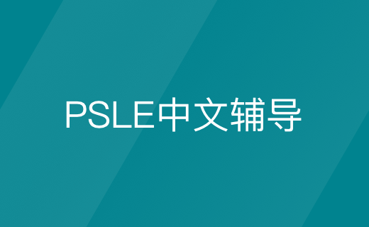 PSLE中文辅导