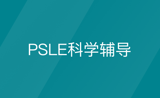 PSLE科学辅导