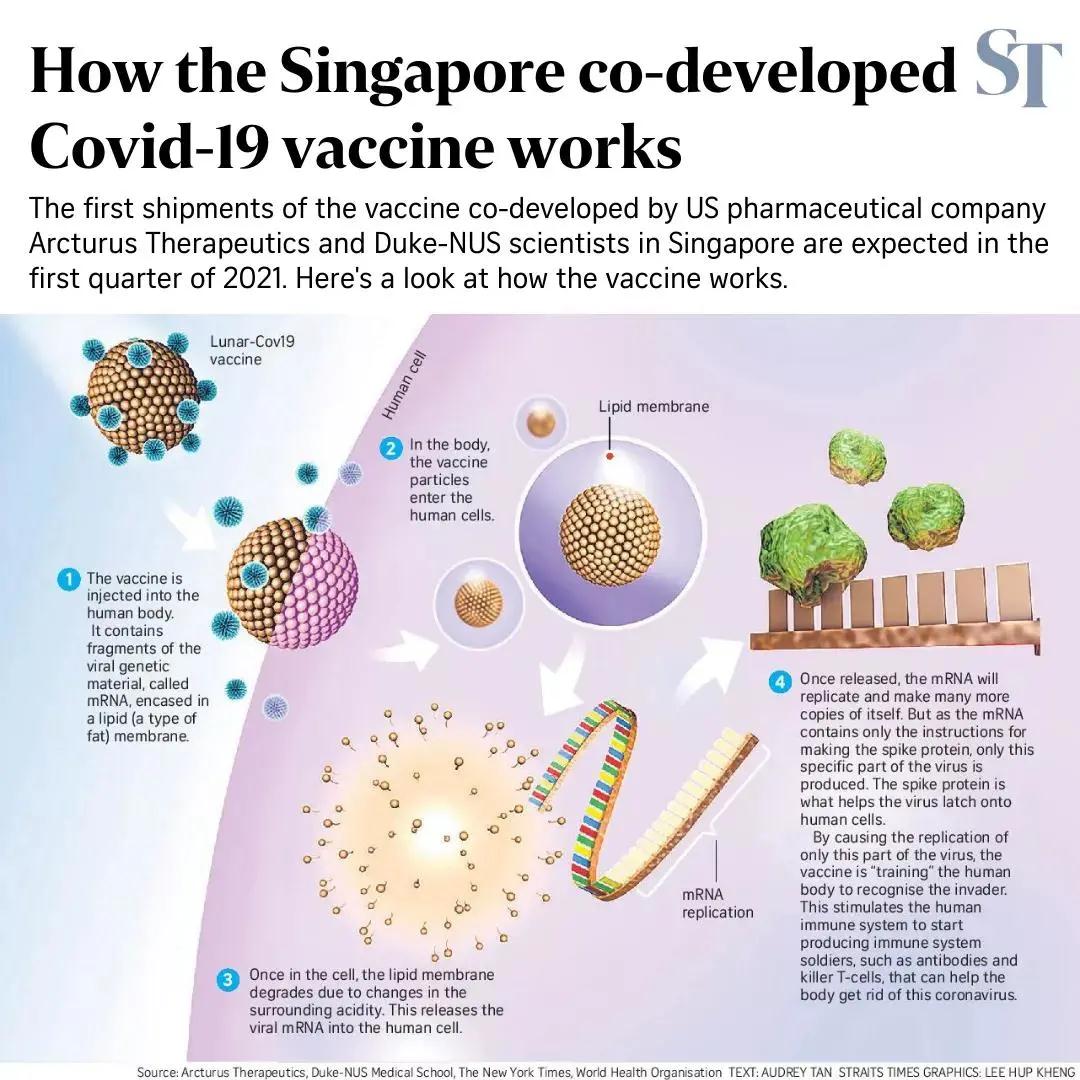 新加坡专家与Arcturus医药公司共同研发，购买首批疫苗最快2021年首季运到！