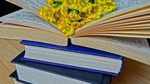 新加坡本科留学要求