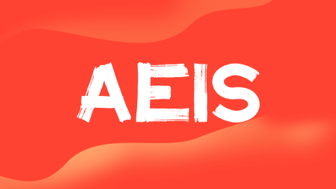 别错过！AEIS 申请即将启动，政府学位靠它申请