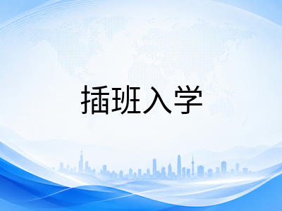 新加坡国际学校中高年级插班：学术衔接挑战、评估难点与应对策略