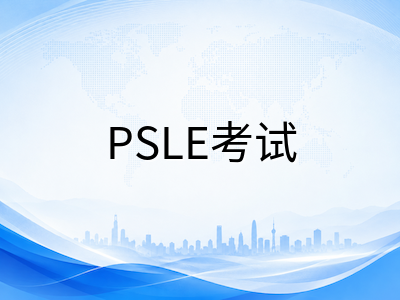 2026年新加坡小学留学择校全攻略：政府学校、国际学校与私立学校优劣对比