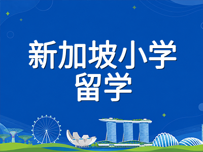 新加坡政府小学国际新生入学第一学期适应指南：全英文课堂、教材过渡与陪读家庭安顿要点
