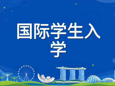 新加坡政府中小学插班入学路径详解：除AEIS外还有哪些方式可以入读政府学校