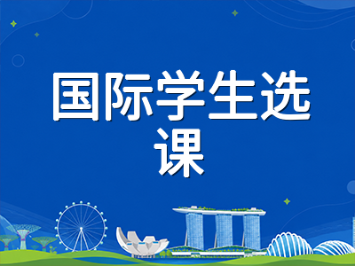新加坡政府中学科目编班制下国际学生选课策略：G1至G3层级搭配逻辑与SEC升学路径规划