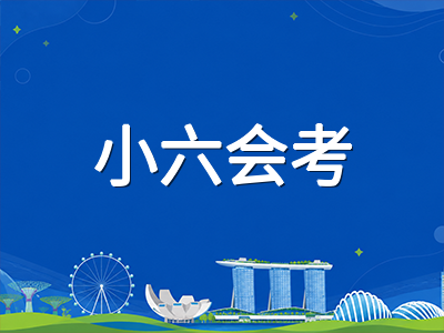 新加坡PSLE小六会考AL积分制深度解读：单科等级如何决定中学选科层级与升学路径
