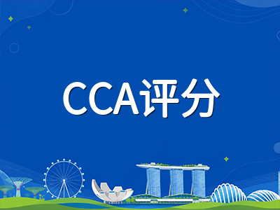 新加坡政府中小学课外活动CCA评分体系全解析：如何用2分优势撬动初级学院录取