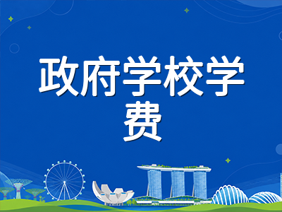 2026年新加坡政府学校国际学生学费标准详解：小学、中学与初院各级别费用全梳理