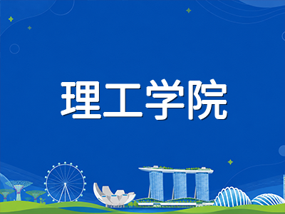 新加坡中学毕业后升学路径全景图：初级学院、理工学院与直通车项目横向对比及国际学生适配分析