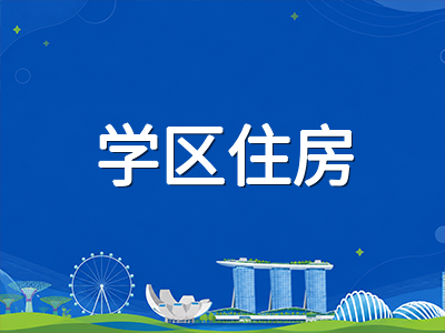 新加坡小学留学陪读全攻略：AEIS备考节奏、陪读签证申请与学区生活安排