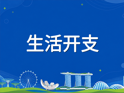 新加坡留学生年度预算怎么分配最合理：从学费到食宿交通的开支优先级全攻略