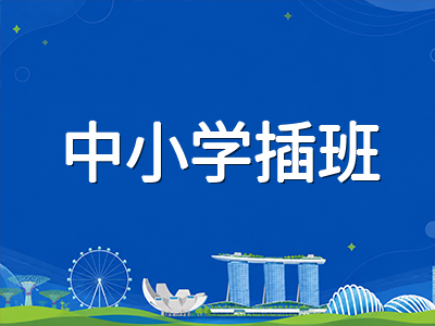 新加坡S-AEIS 2027年2月补充考试报名临近：中小学插班生CEQ前置要求与备考时间线全解析