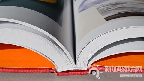 WIDA考试解析：众多新加坡国际学校的最佳选择之一