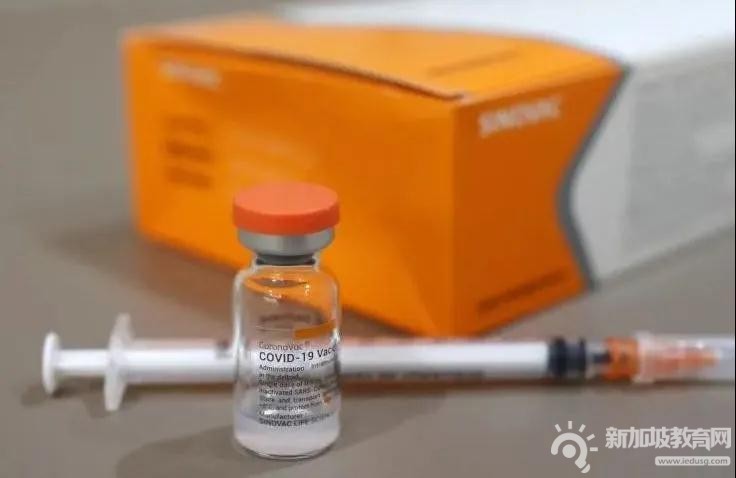 最新消息！新加坡卫生部官宣，月底开始为小学生接种新冠疫苗