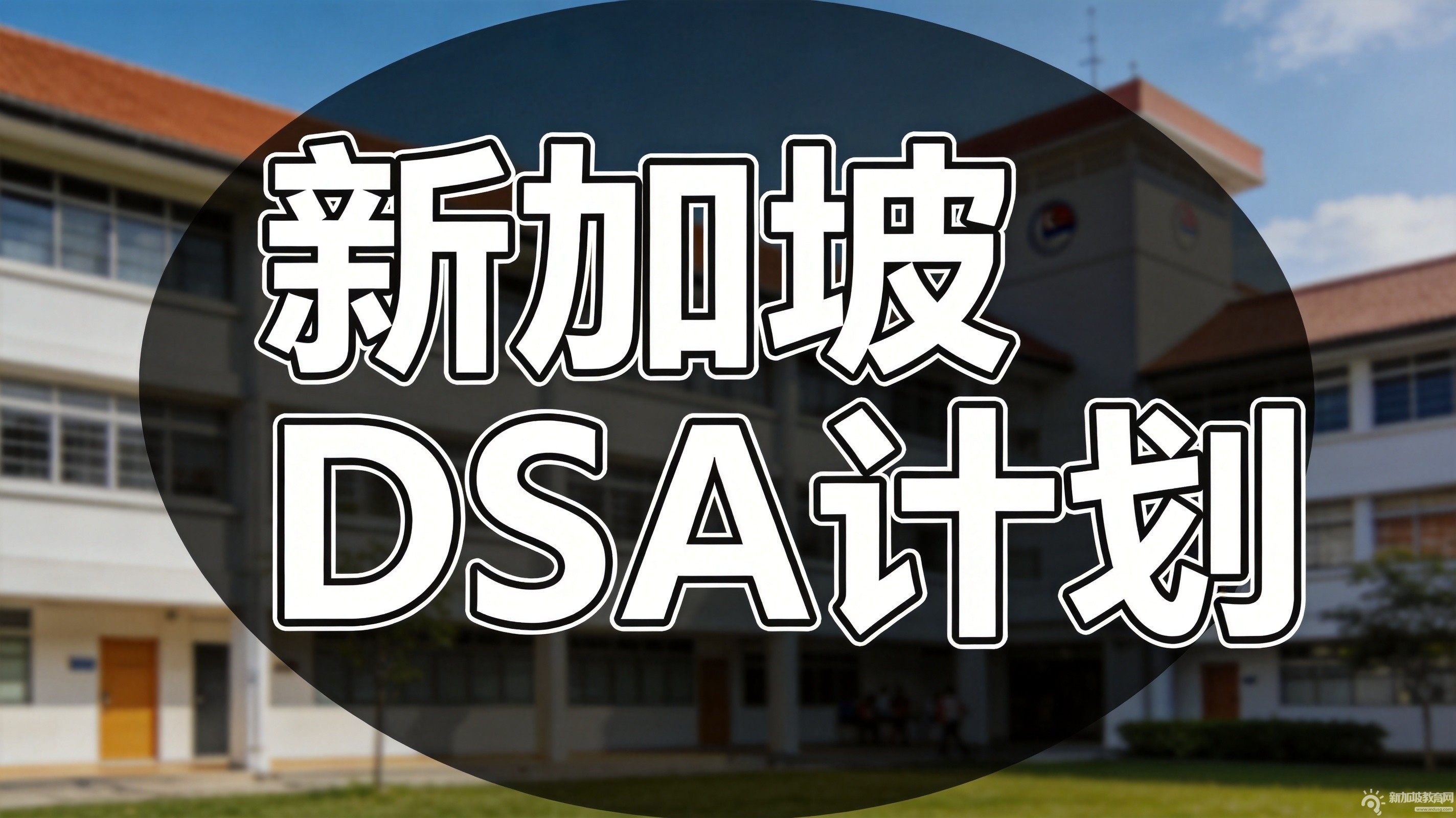 2026年新加坡DSA申请人数创历史新高，41%小六生参与"提前抢位"