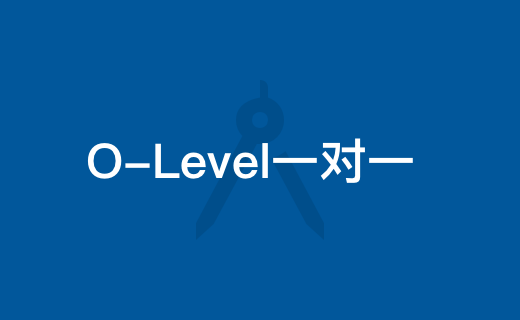 O-Level一对一课程