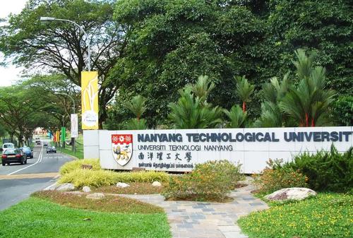 新加坡南洋理工大学的九名研究生开展社区远程医疗服务.jpg