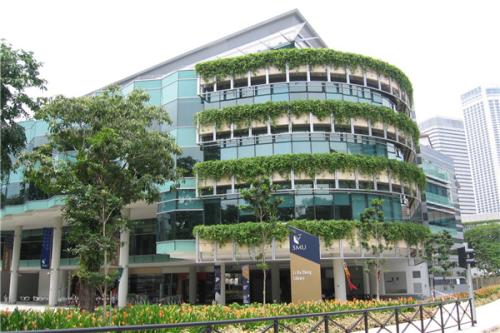 新加坡管理学院大学预科课程MFS.jpg
