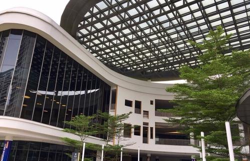 新加坡国立大学多名教授获得国家荣誉表彰.jpg