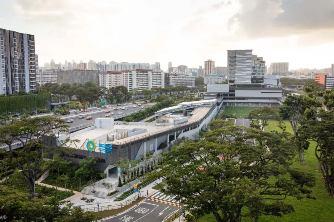 新加坡设施最先进的国际学校-莱仕国际学校