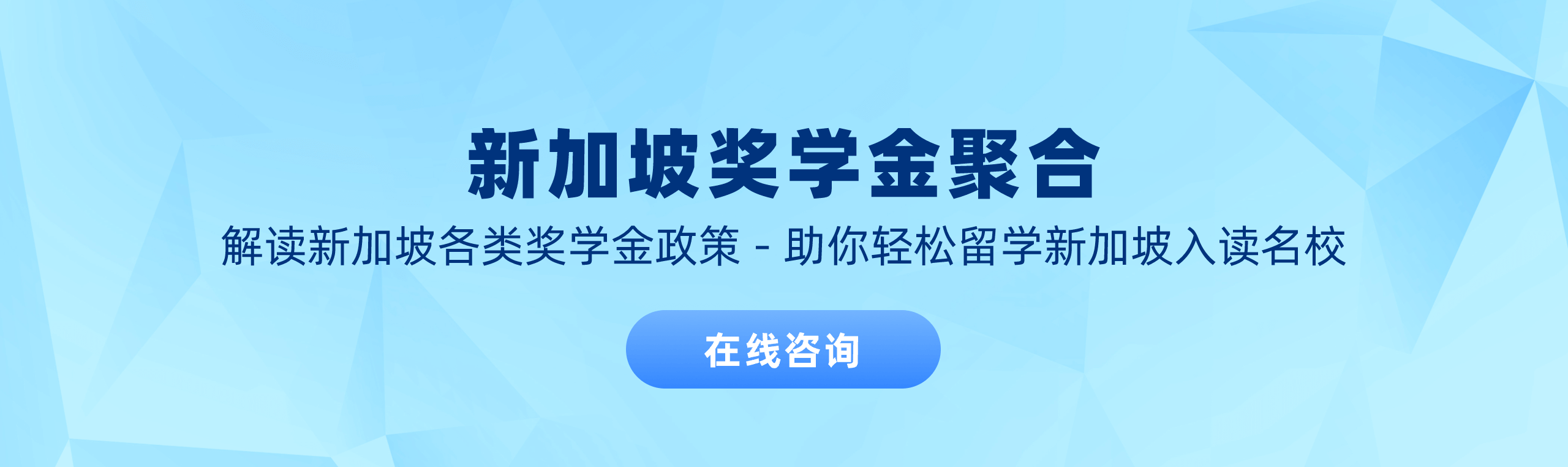 新加坡奖学金聚合