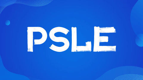 新加坡PSLE考试介绍：考试内容、评分标准与升学分流全面解析