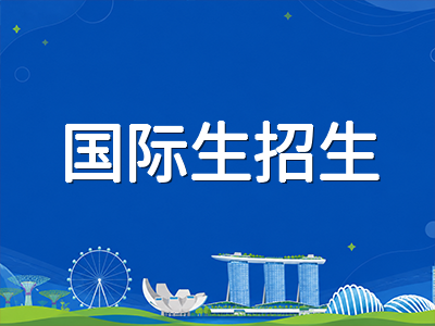 新加坡五所理工学院2026年国际生招生路径深度解析：DAE直申、O水准与高二直招该如何选