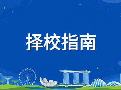 新加坡国际学校IB课程2025年成绩全景：梯队排名、升学走向与择校策略深度解析