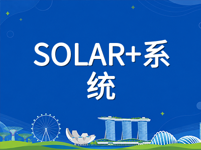 新加坡留学生打工新政落地：每周20小时合法兼职如何合规操作与避坑